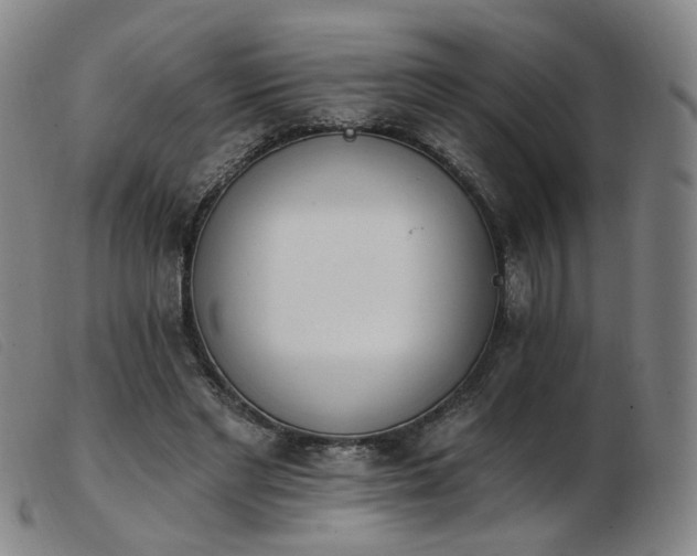 X0000103910493200809191305