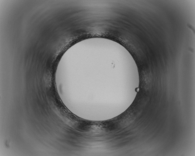 X0000103910496200809191305