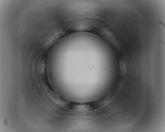 X0000103910499200809191305