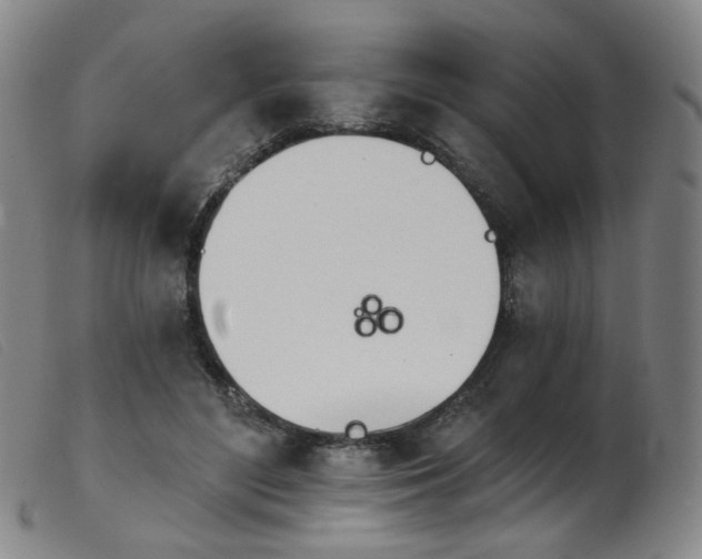 X0000103910500200809191305