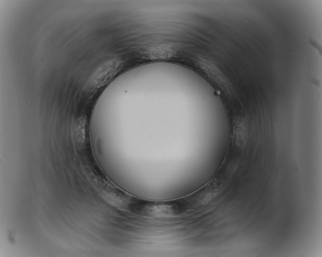 X0000103910501200809191305
