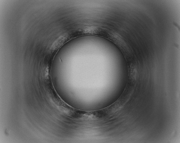 X0000103910502200809191305