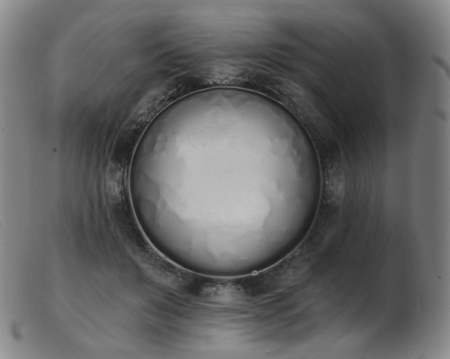 X0000103910503200809191305