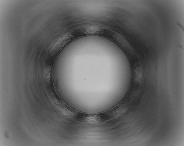 X0000103910505200809191305