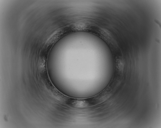 X0000103910507200809191305