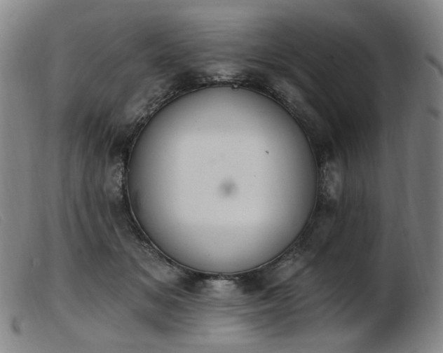 X0000103910509200809191305