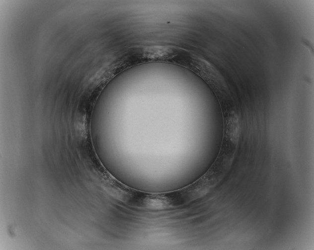 X0000103910510200809191305