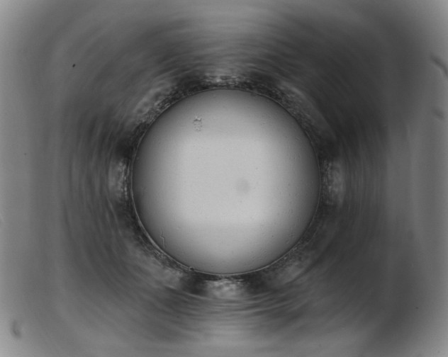 X0000103910511200809191305