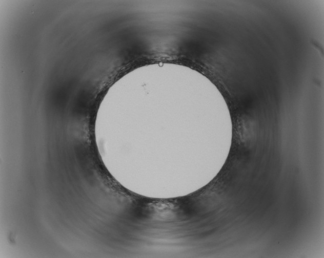X0000103910512200809191305