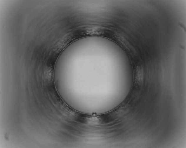 X0000103910513200809191305
