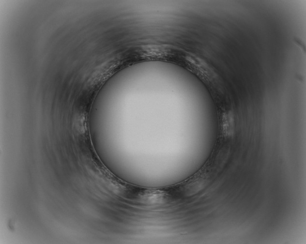 X0000103910514200809191305