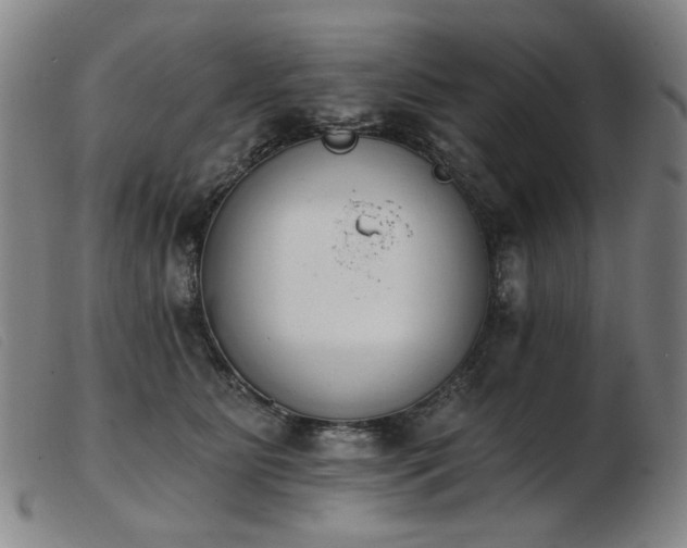 X0000103910515200809191305