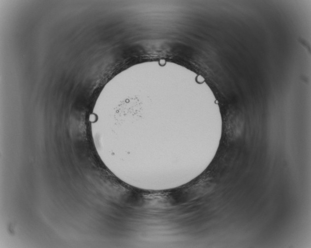X0000103910516200809191305