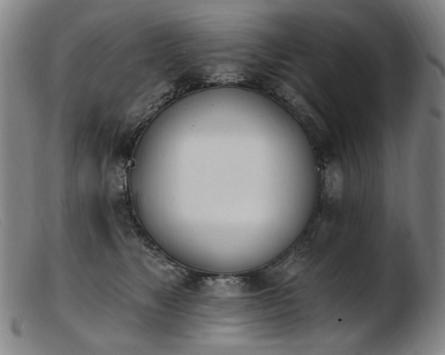 X0000103910517200809191305