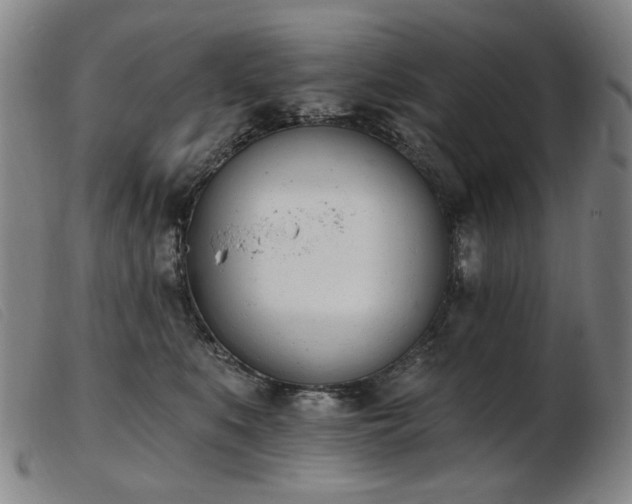 X0000103910519200809191305