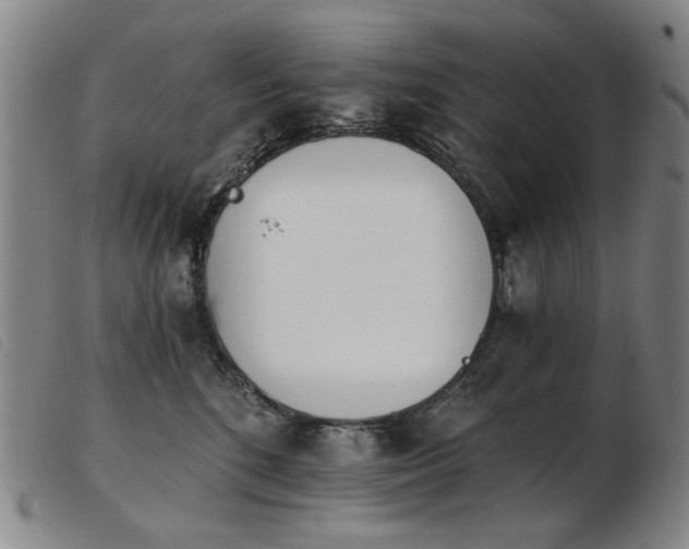 X0000103910520200809191305