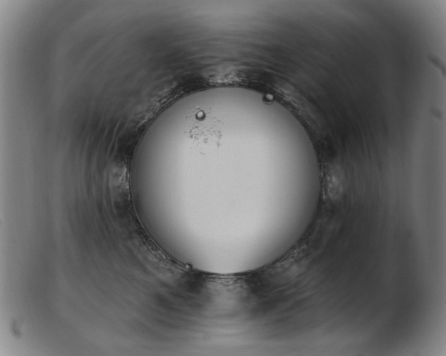 X0000103910521200809191305