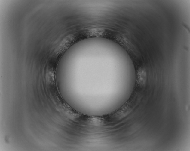 X0000103910522200809191305