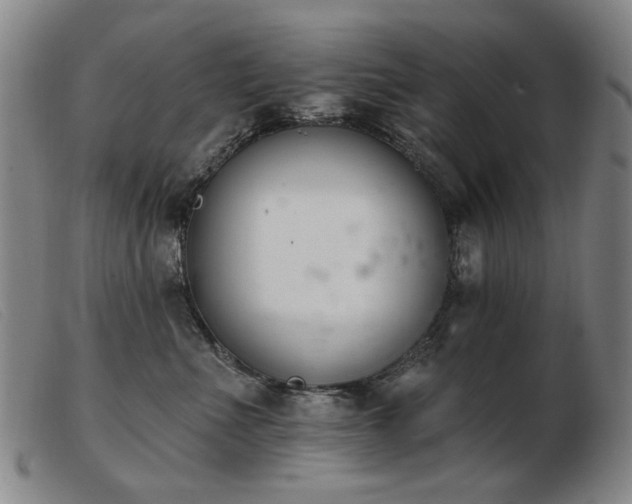 X0000103910523200809191305