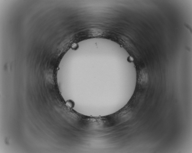 X0000103910524200809191305