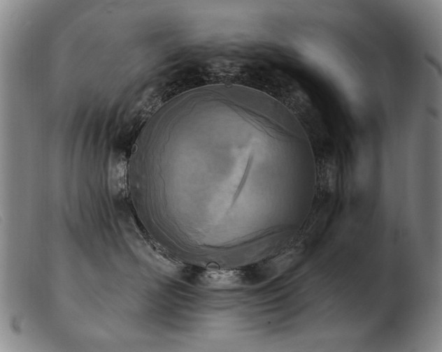 X0000103910526200809191305