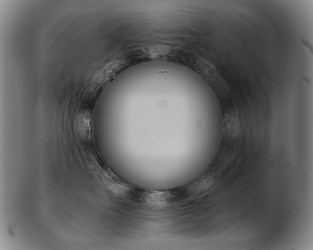 X0000103910527200809191305