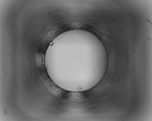 X0000103910528200809191305