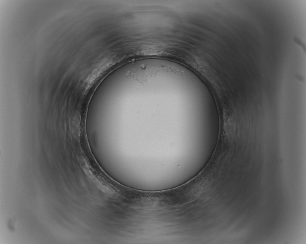 X0000103910530200809191304