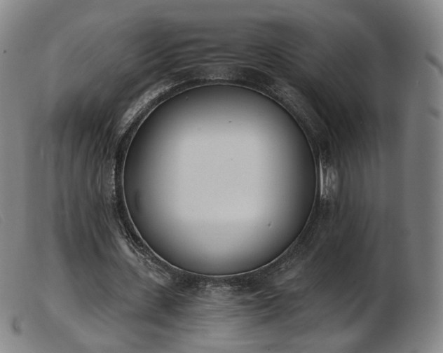 X0000103910531200809191304