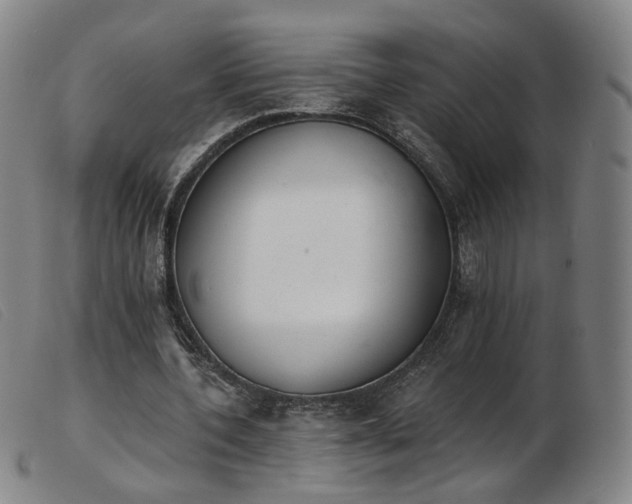 X0000103910532200809191304