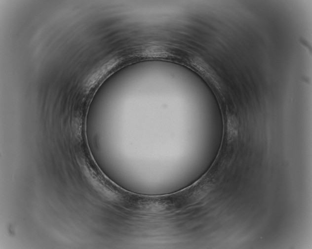 X0000103910533200809191304