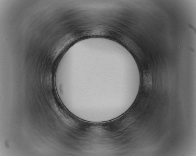 X0000103910534200809191304