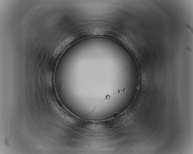 X0000103910537200809191304