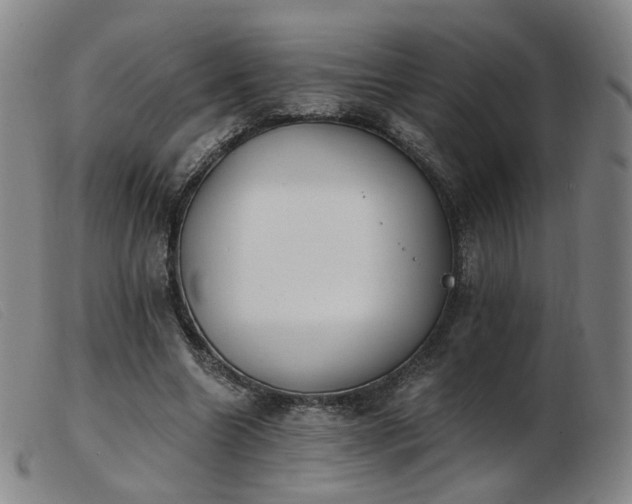 X0000103910538200809191304