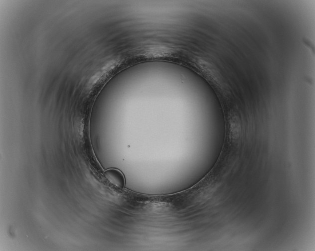 X0000103910539200809191304