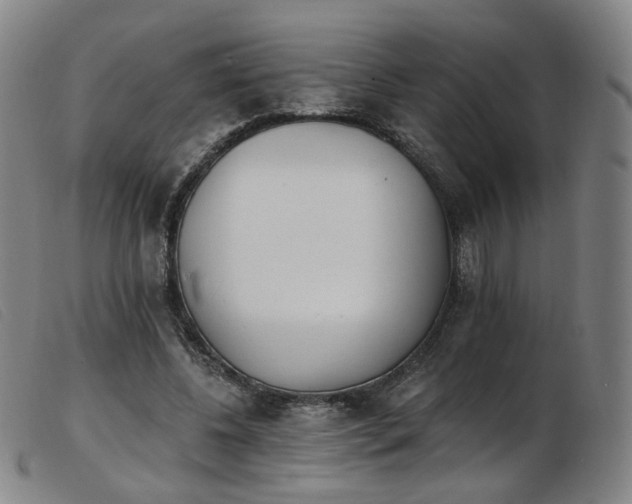 X0000103910540200809191304