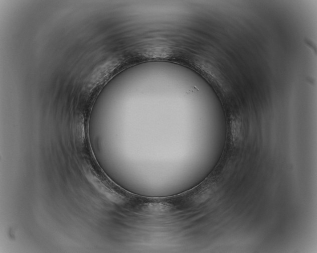 X0000103910541200809191304