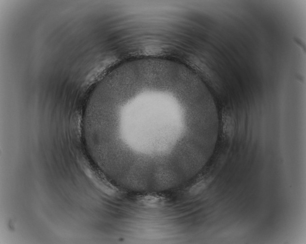 X0000103910542200809191304