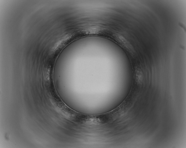 X0000103910543200809191304