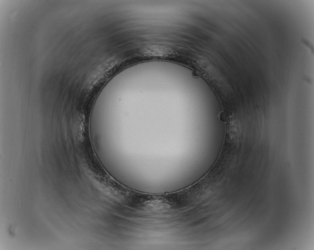 X0000103910544200809191304