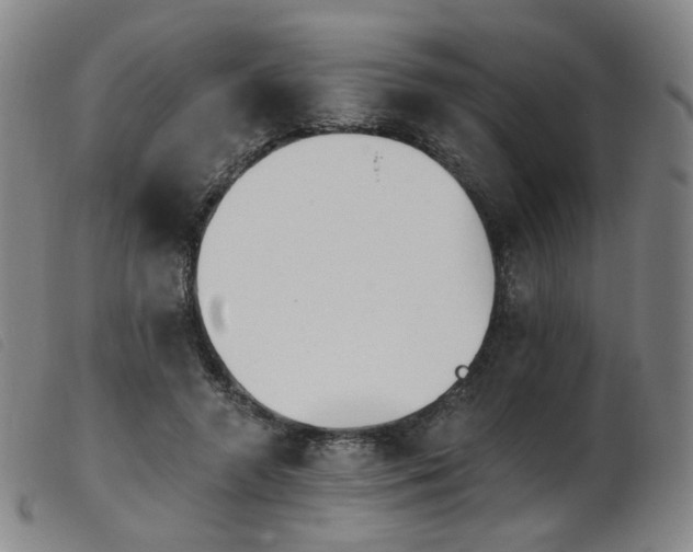 X0000103910546200809191304