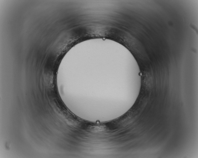 X0000103910548200809191304