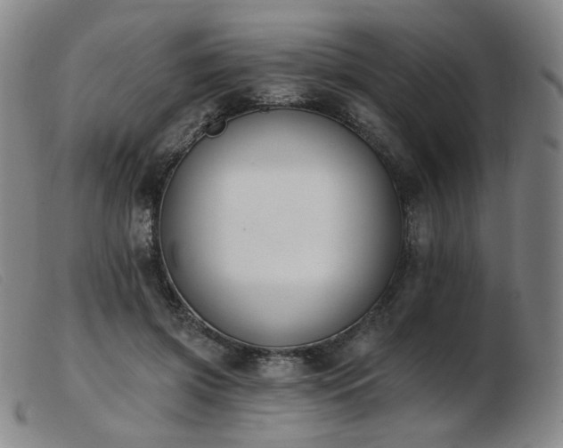 X0000103910549200809191304