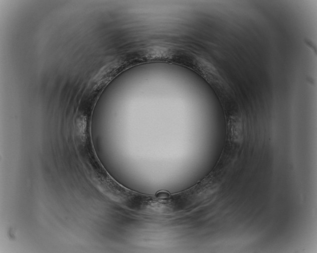 X0000103910550200809191304