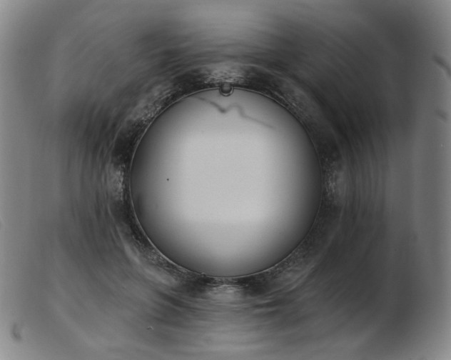 X0000103910551200809191304