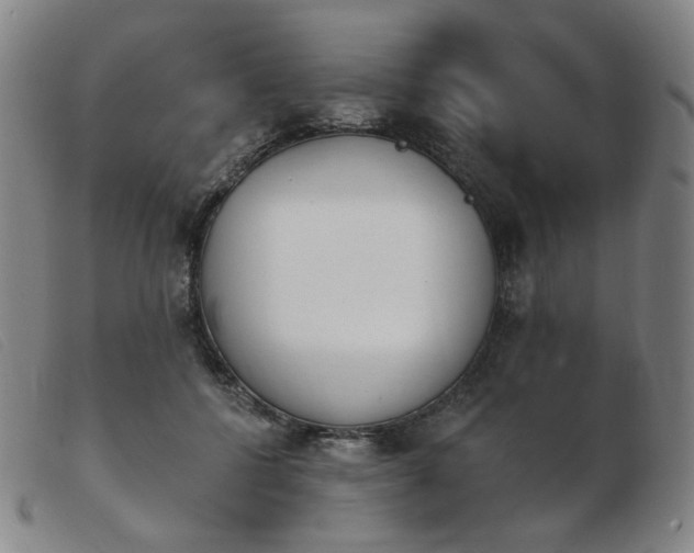 X0000103910552200809191304