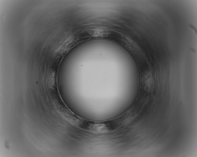 X0000103910554200809191304