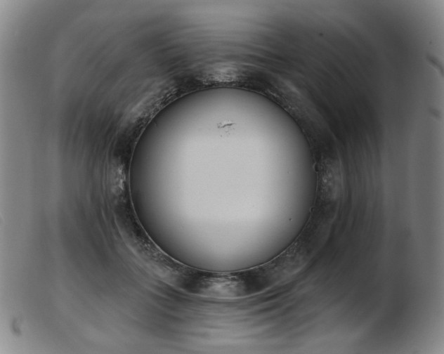 X0000103910555200809191304