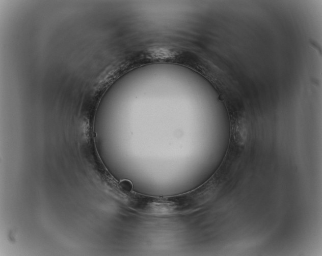 X0000103910556200809191304