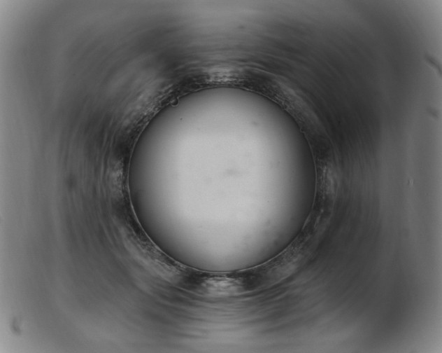 X0000103910557200809191304
